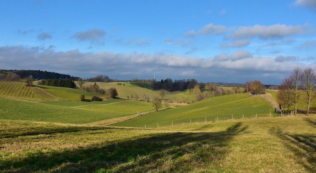 devolução do valor