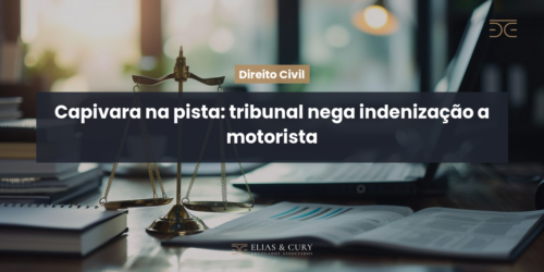 Capivara na pista: tribunal nega indenização a motorista