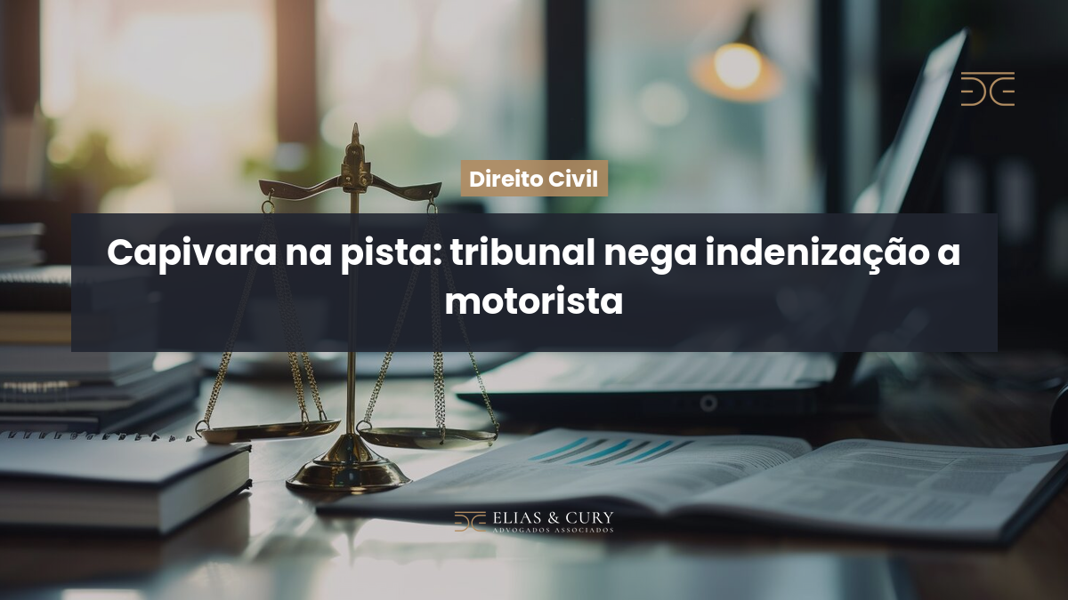 Capivara na pista: tribunal nega indenização a motorista