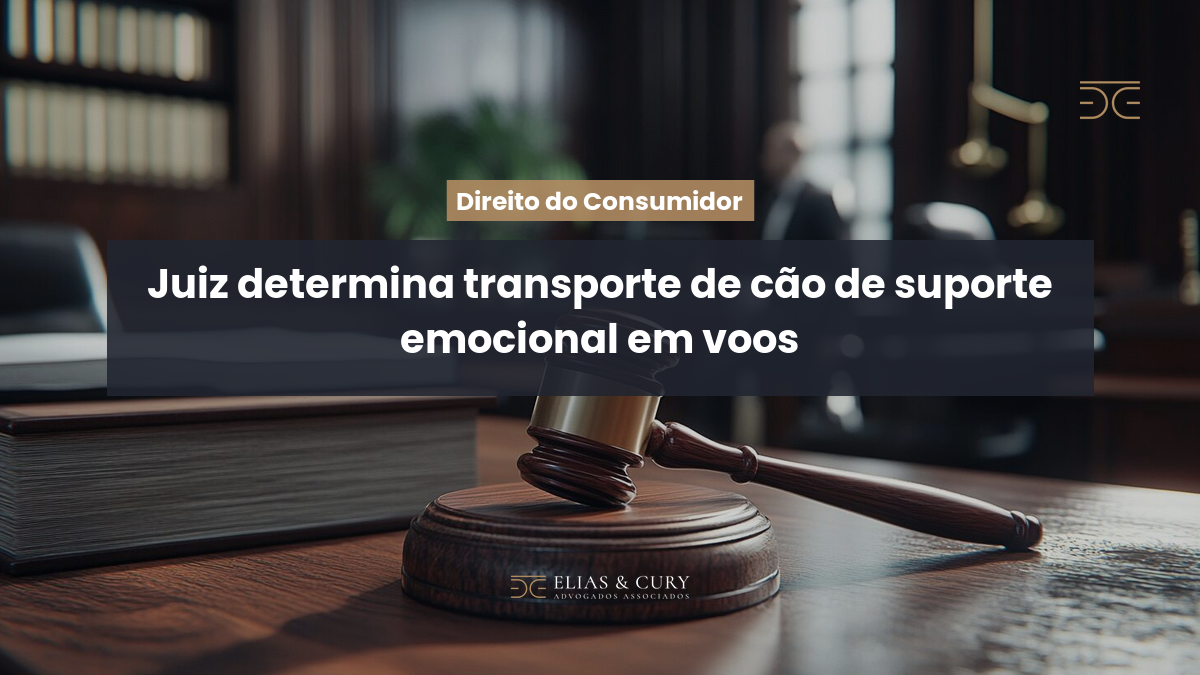 Juiz determina transporte de cão de suporte emocional em voos