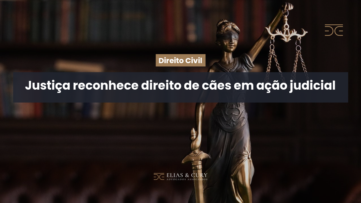 Justiça reconhece direito de cães em ação judicial
