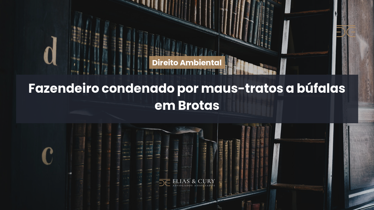 Fazendeiro condenado por maus-tratos a búfalas em Brotas