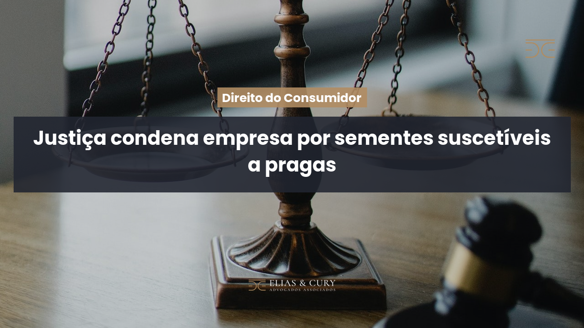 Justiça condena empresa por sementes suscetíveis a pragas