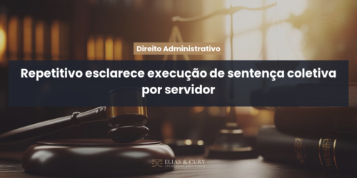 Repetitivo esclarece execução de sentença coletiva por servidor