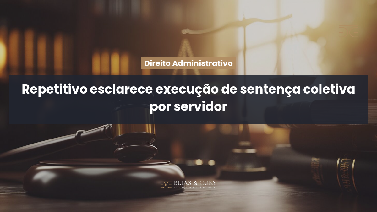 Repetitivo esclarece execução de sentença coletiva por servidor