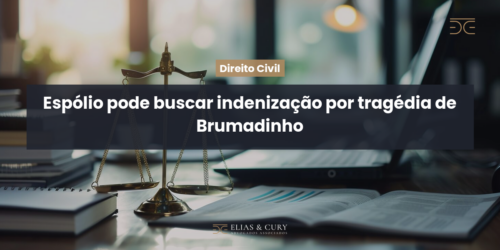 Espólio pode buscar indenização por tragédia de Brumadinho