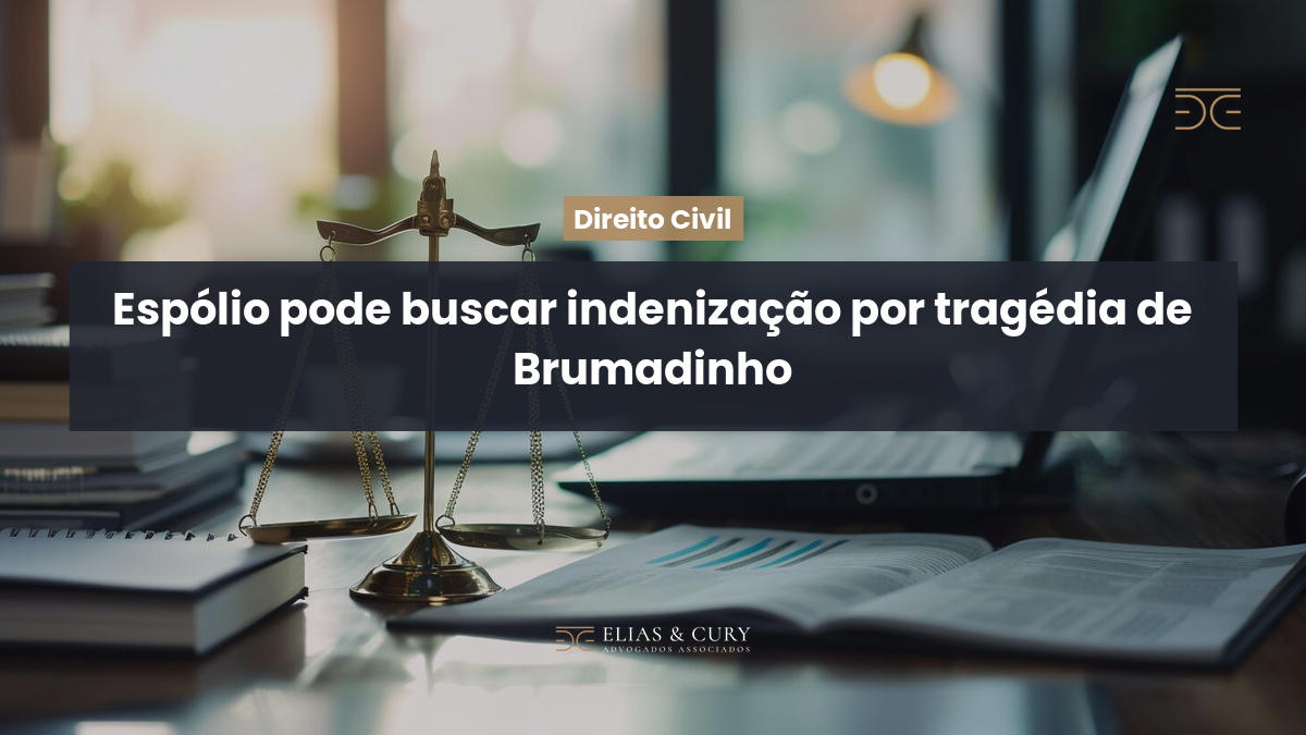 Espólio pode buscar indenização por tragédia de Brumadinho