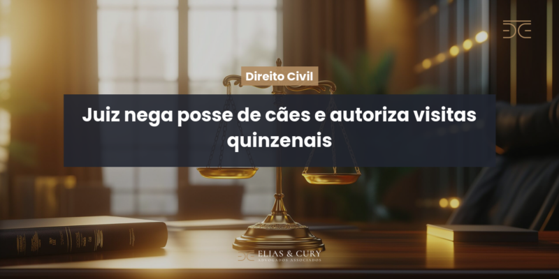 Juiz nega posse de cães e autoriza visitas quinzenais