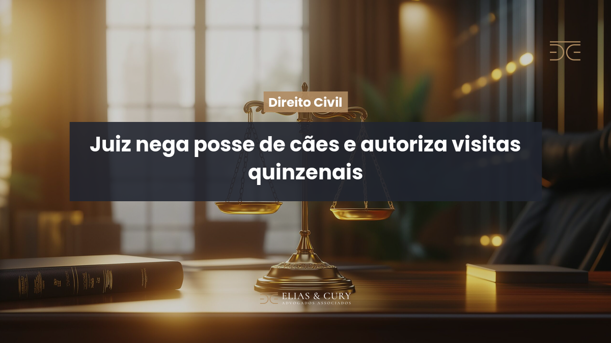 Juiz nega posse de cães e autoriza visitas quinzenais
