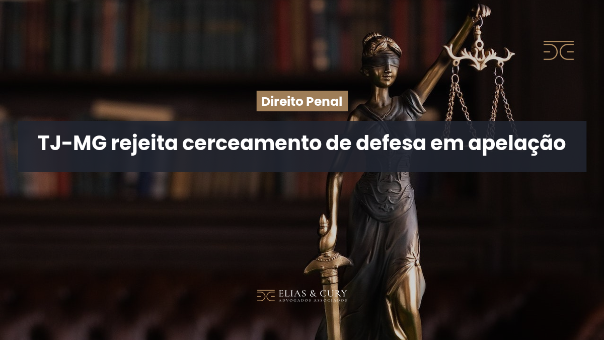 TJ-MG rejeita cerceamento de defesa em apelação