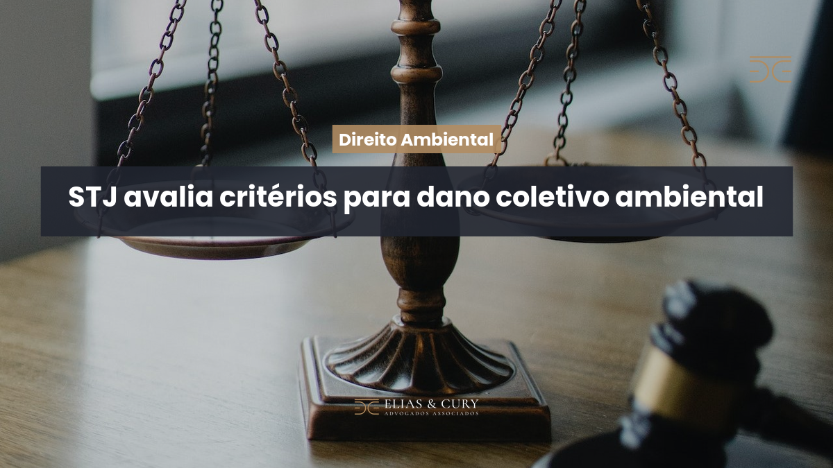 STJ avalia critérios para dano coletivo ambiental