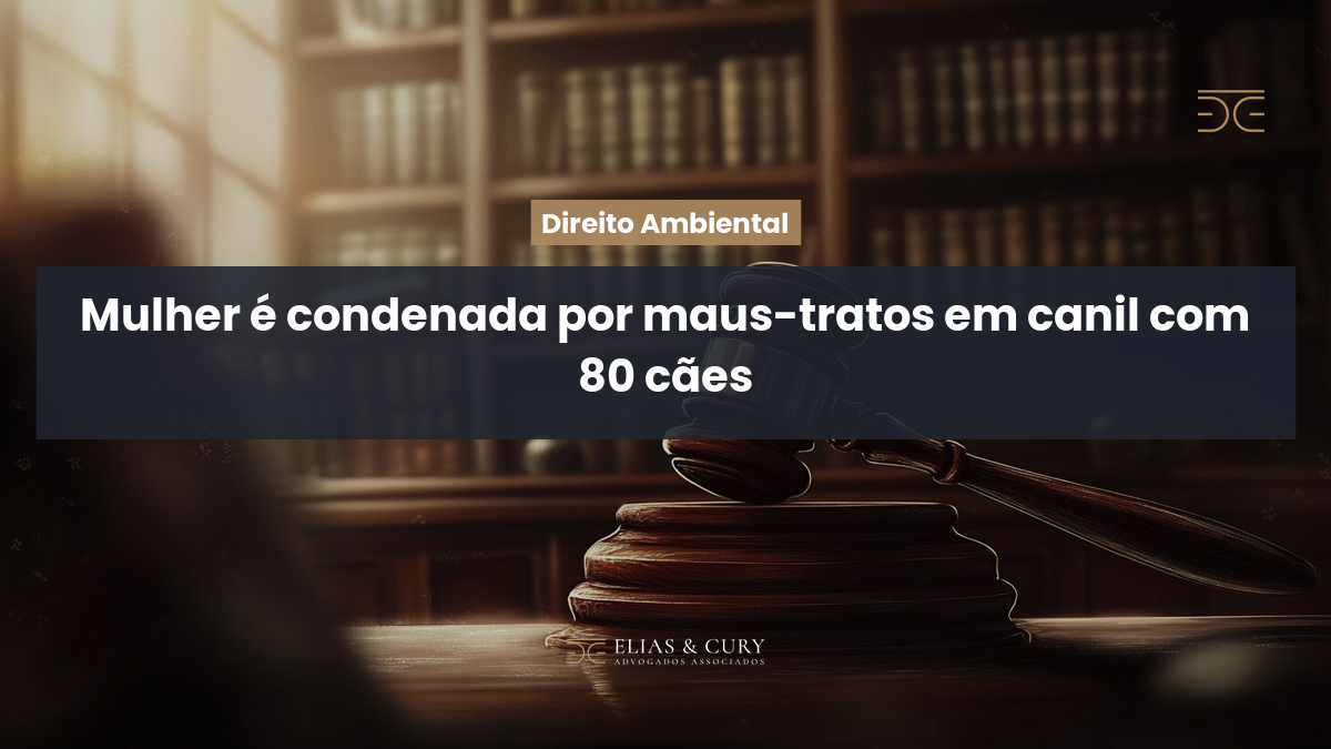 Mulher é condenada por maus-tratos em canil com 80 cães