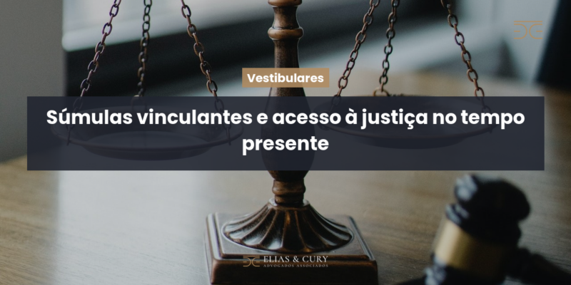 Súmulas vinculantes e acesso à justiça no tempo presente
