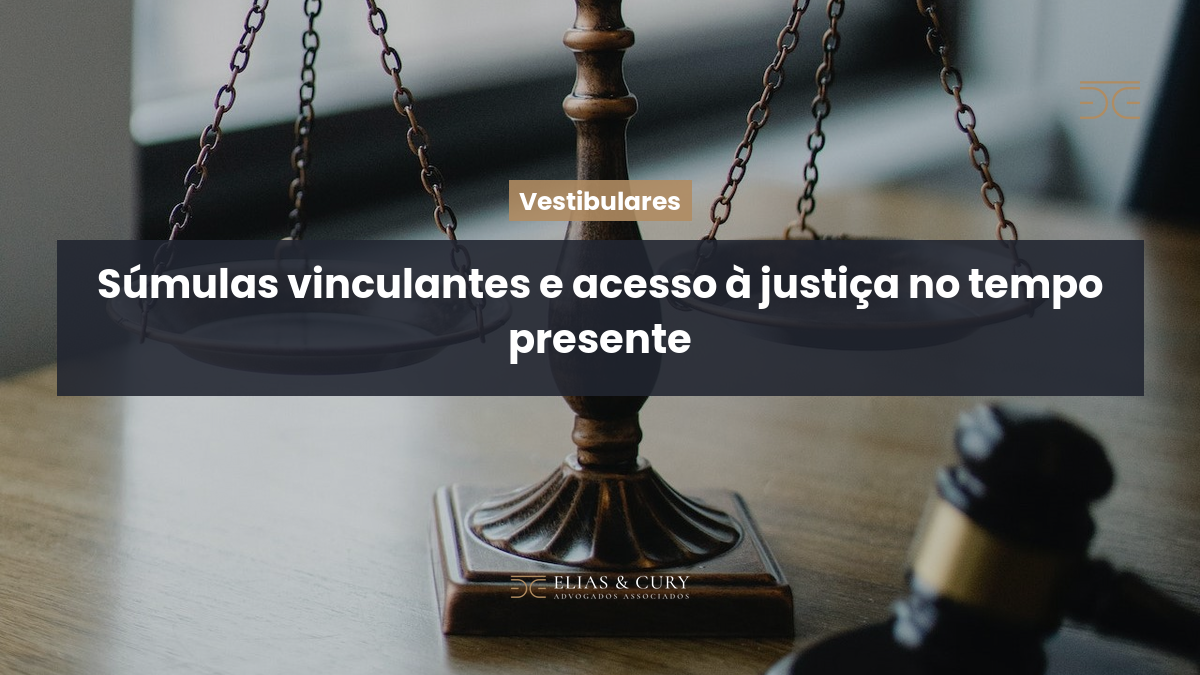 Súmulas vinculantes e acesso à justiça no tempo presente